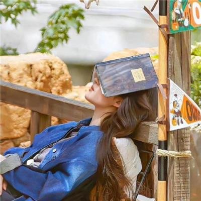 奇奇与蒂蒂：救援突击队